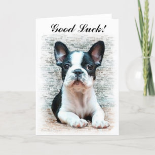Good Luck French Bulldog puppy card