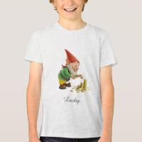Good Luck Gnome with Gold Coins and Script