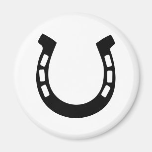 good luck horseshoe magnet