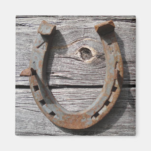 Good Luck Horseshoe on Wooden Fence Magnet