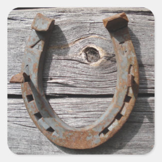 Good Luck Horseshoe on Wooden Fence Stickers