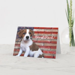 Good Luck Jack Russell Terrier card