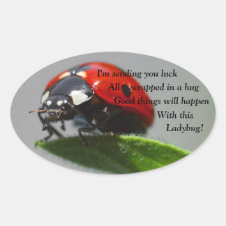 Good Luck Ladybug Oval Stickers