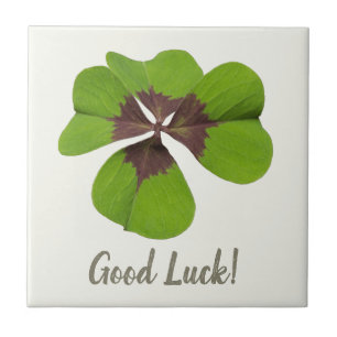 Good Luck Lucky Charm Four-leaf clover Gift Tile