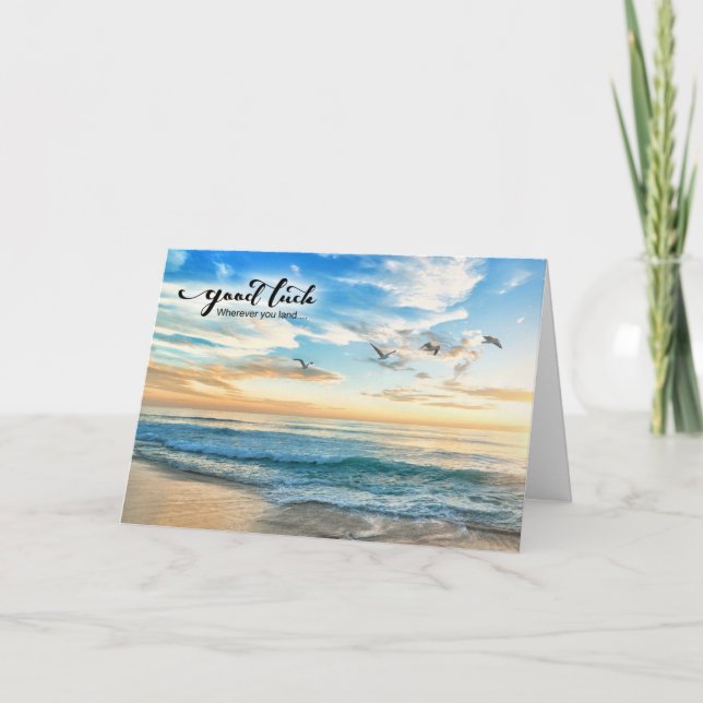 Good Luck on Your Journey Birds in Flight Beach Card (Front)