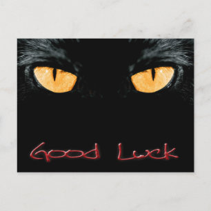 Good Luck Postcard