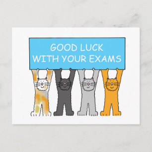 Good Luck with Your Exams Cartoon Cats Postcard