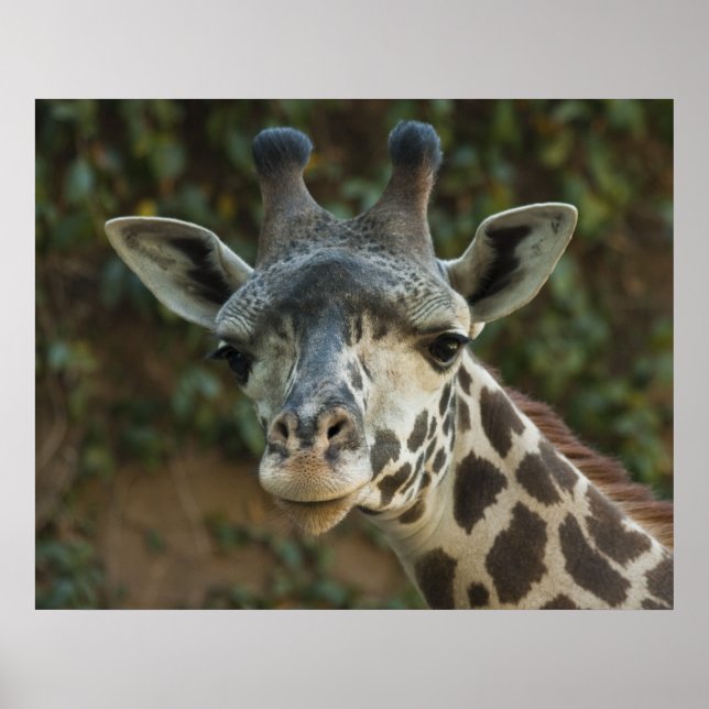 Good Morning Friend Poster (Front)