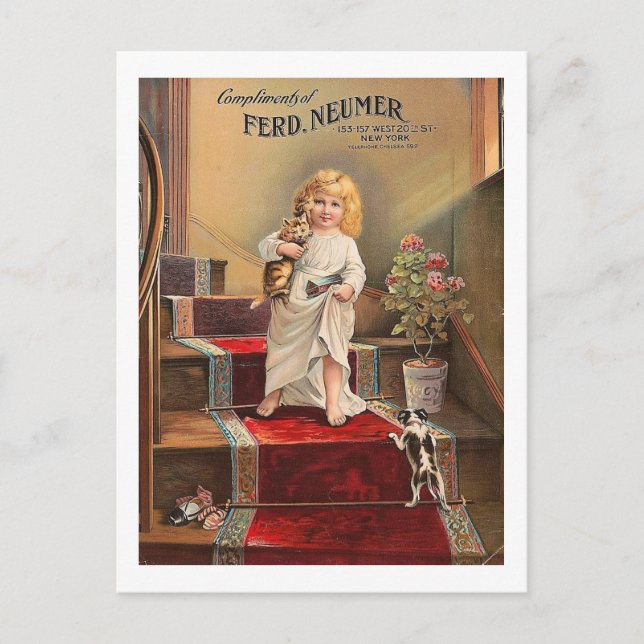 Good Morning, Girl, Greeting, Puppy, Cute, Vintage Postcard (Front)