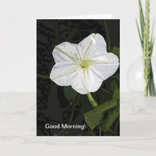Good Morning Glory Friendship Card