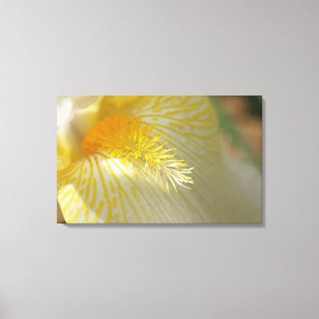 Good Morning Iris! Canvas Print (Front)