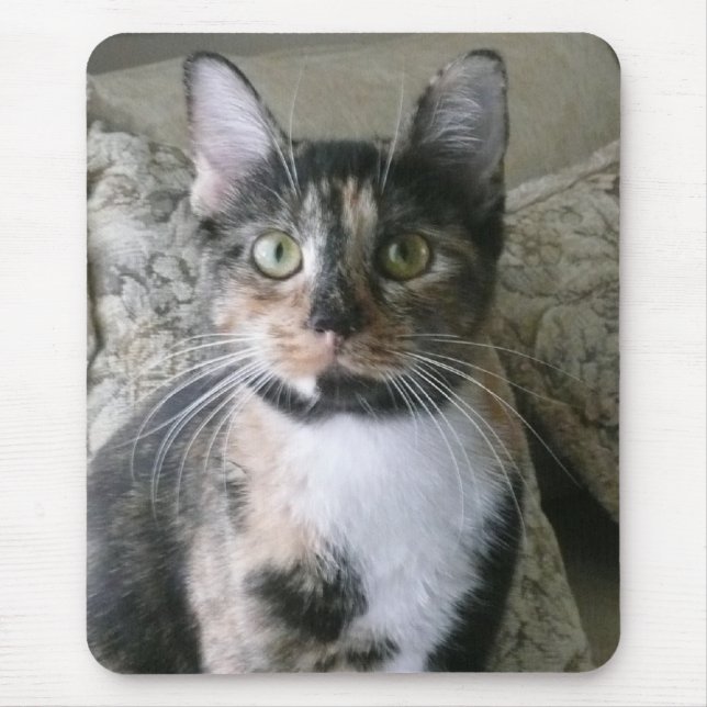 Good Morning Kitty! Calico will brighten your day! Mouse Pad (Front)