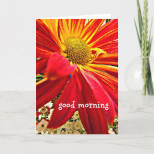 Good Morning Note Card