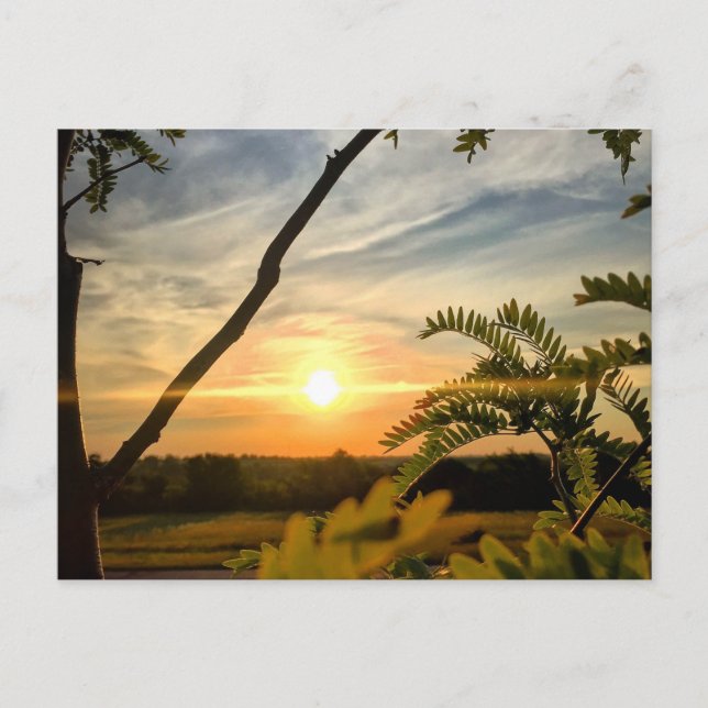 Good morning, Oklahoma Postcard (Front)