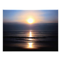 Good Morning Sunshine Photography