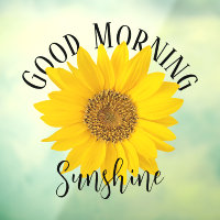 Good Morning Sunshine Sunflower