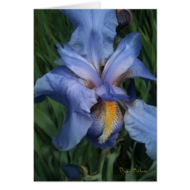 Good Neighbours (Front)