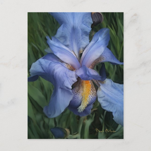 Good Neighbours Postcard (Front)