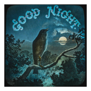 Good Night Bird on a Branch Vintage Circa 1890s Photo Print