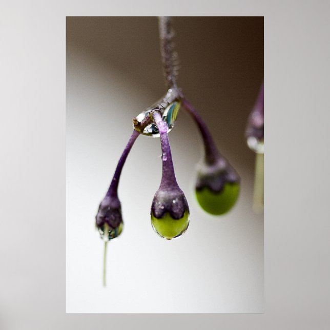 Good To The Last Drip Poster (Front)