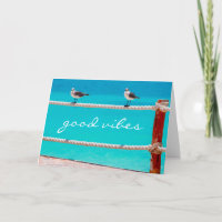 Good vibes quote seagull birds beach ocean photo