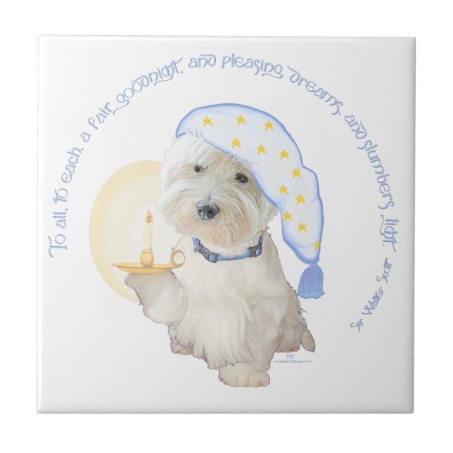 Goodnight Blue Tile (Front)