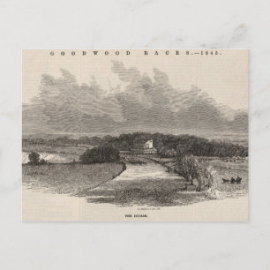 Goodwood Races: the Course Postcard