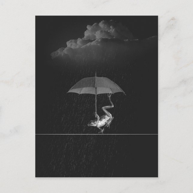 Goofy Black and White Frog with Umbrella in Rain Postcard (Front)