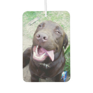 Goofy Delights: Chocolate Brown Labrador Puppy, Car Air Freshener