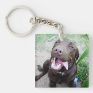 Goofy Delights: Chocolate Brown Labrador Puppy, Key Ring