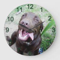 Goofy Delights: Chocolate Brown Labrador Puppy,