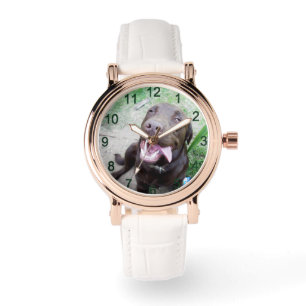 Goofy Delights: Chocolate Brown Labrador Puppy, Watch