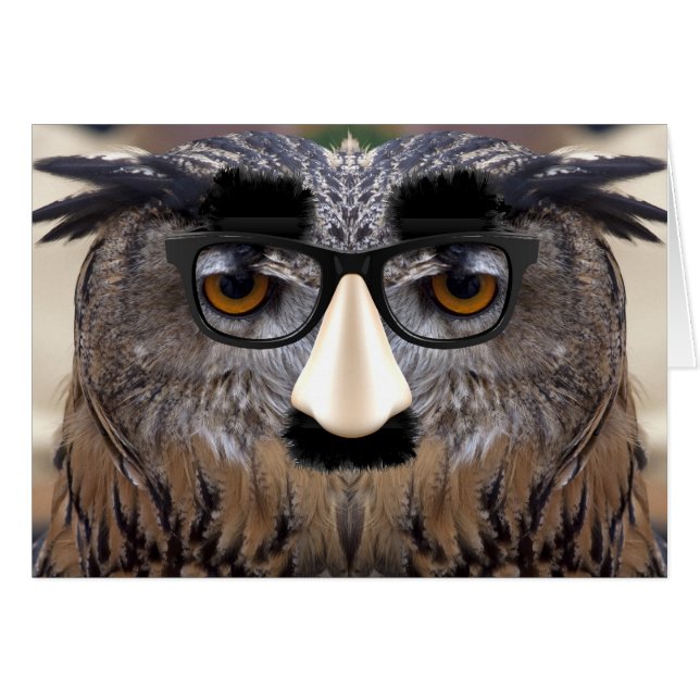 Goofy Eagle Owl With Glasses (Front Horizontal)