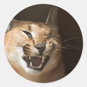 Goofy Lynx Classic Round Sticker