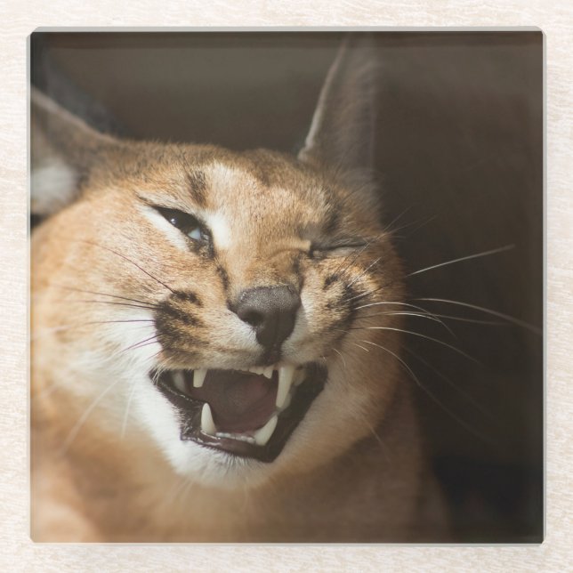 Goofy Lynx Glass Coaster (Front)