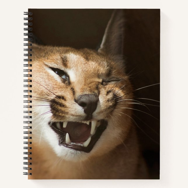 Goofy Lynx Notebook (Front)