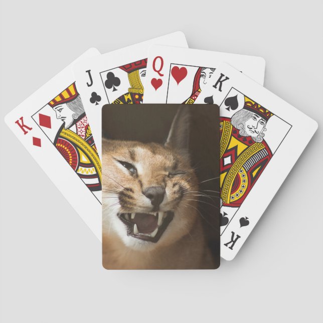 Goofy Lynx Playing Cards (Back)