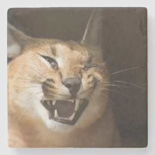 Goofy Lynx Stone Coaster