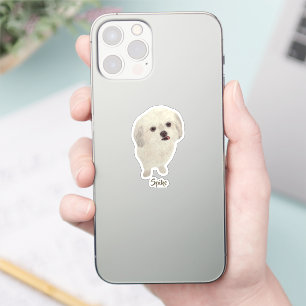 Goofy Malshi Puppy Sticker
