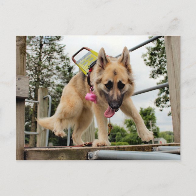 Goofy Postcard (Front)