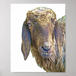 Goofy Sheep Face Farm Animal Art  Poster
