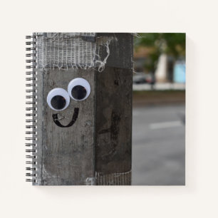 Googly Eyes Eyeballs New York City Photography NYC Notebook