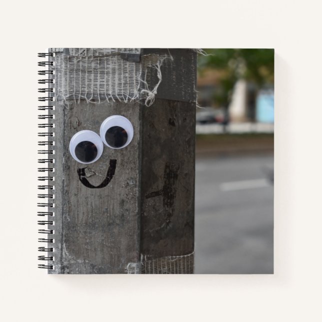 Googly Eyes Eyeballs New York City Photography NYC Notebook (Front)