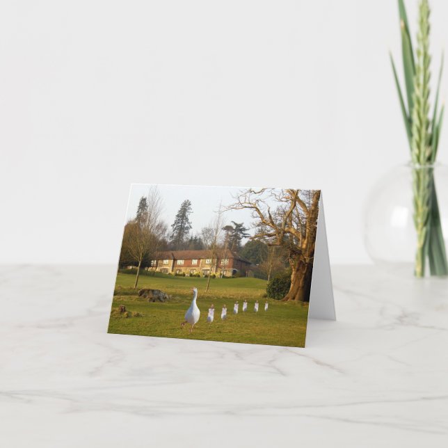 Goose and Goslings day out Card (Front)