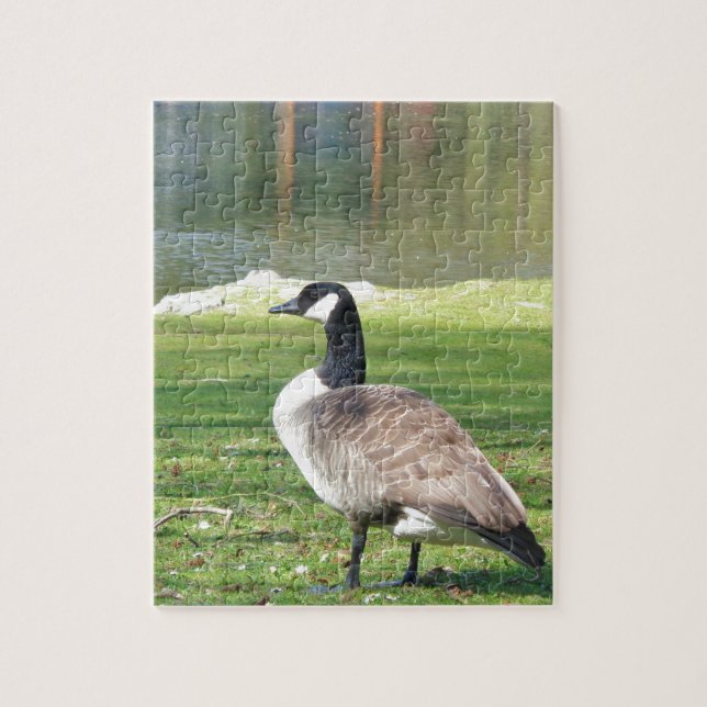 Goose at the waterfront, Wildlife Animals, Nature Jigsaw Puzzle (Vertical)