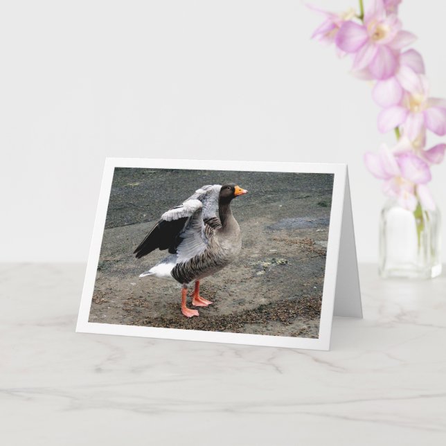 Goose Bird Portrait Card (Orchid)