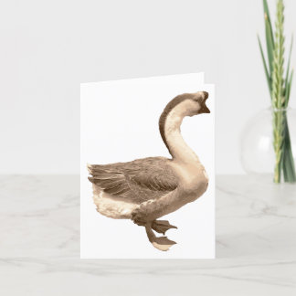 Goose blank card