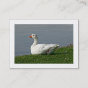 Goose (Bordered) Business Card