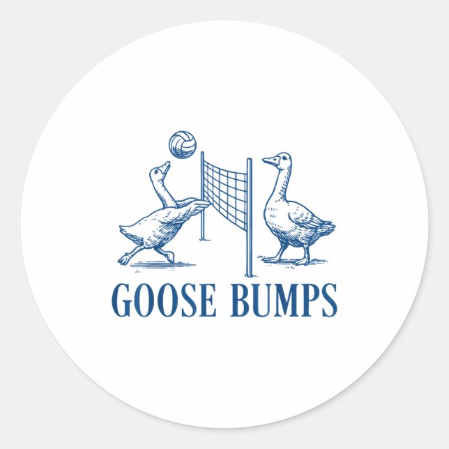 Goose Bumps Volleyball  Classic Round Sticker (Front)