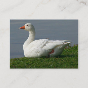 Goose Business Card